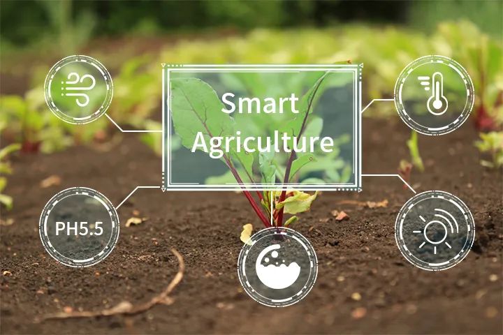 从粗放到精细，能量采集技术如何赋能农业智慧升级？